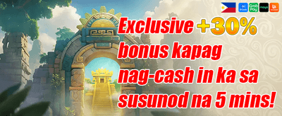 VIP Weekly Rebate Program promotion